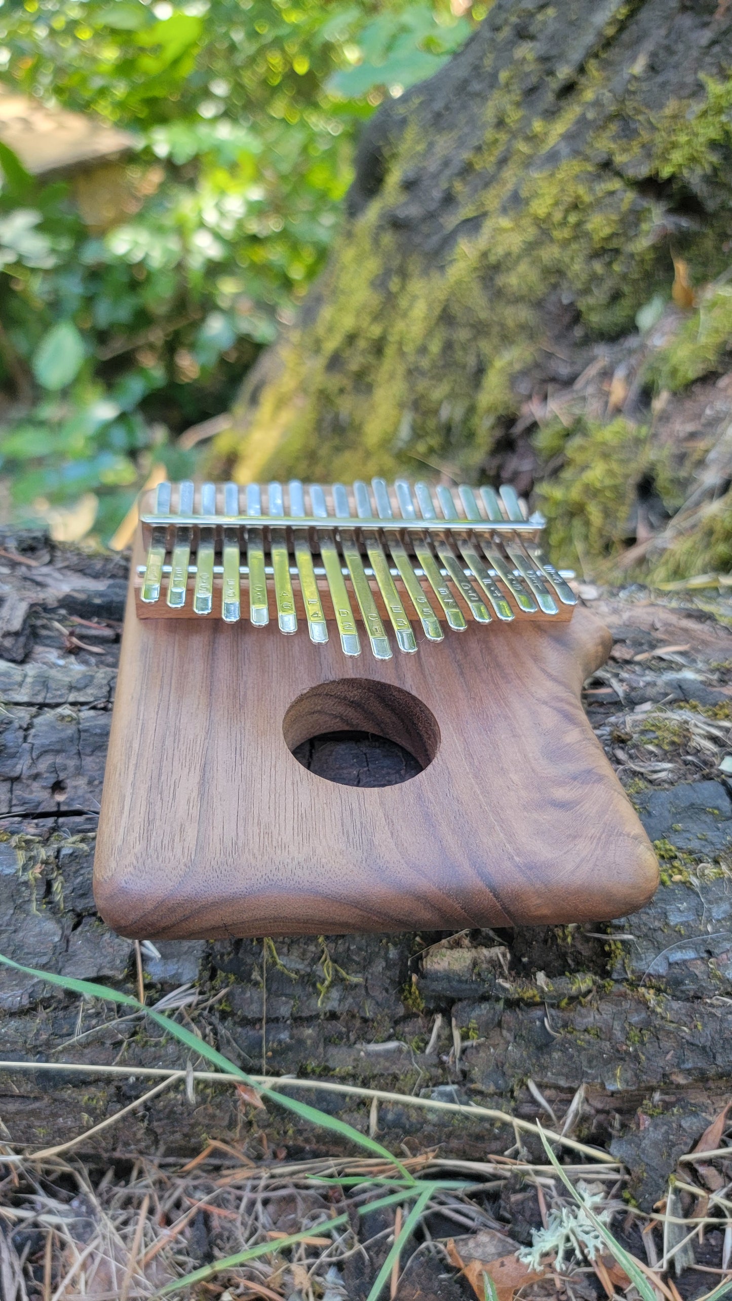Kalimba (Thumb Piano) Black Walnut C Major