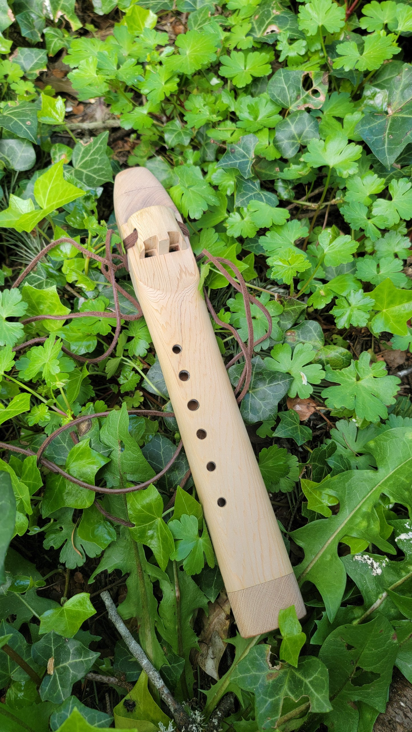 Cedar Drone Flute D⁵ minor
