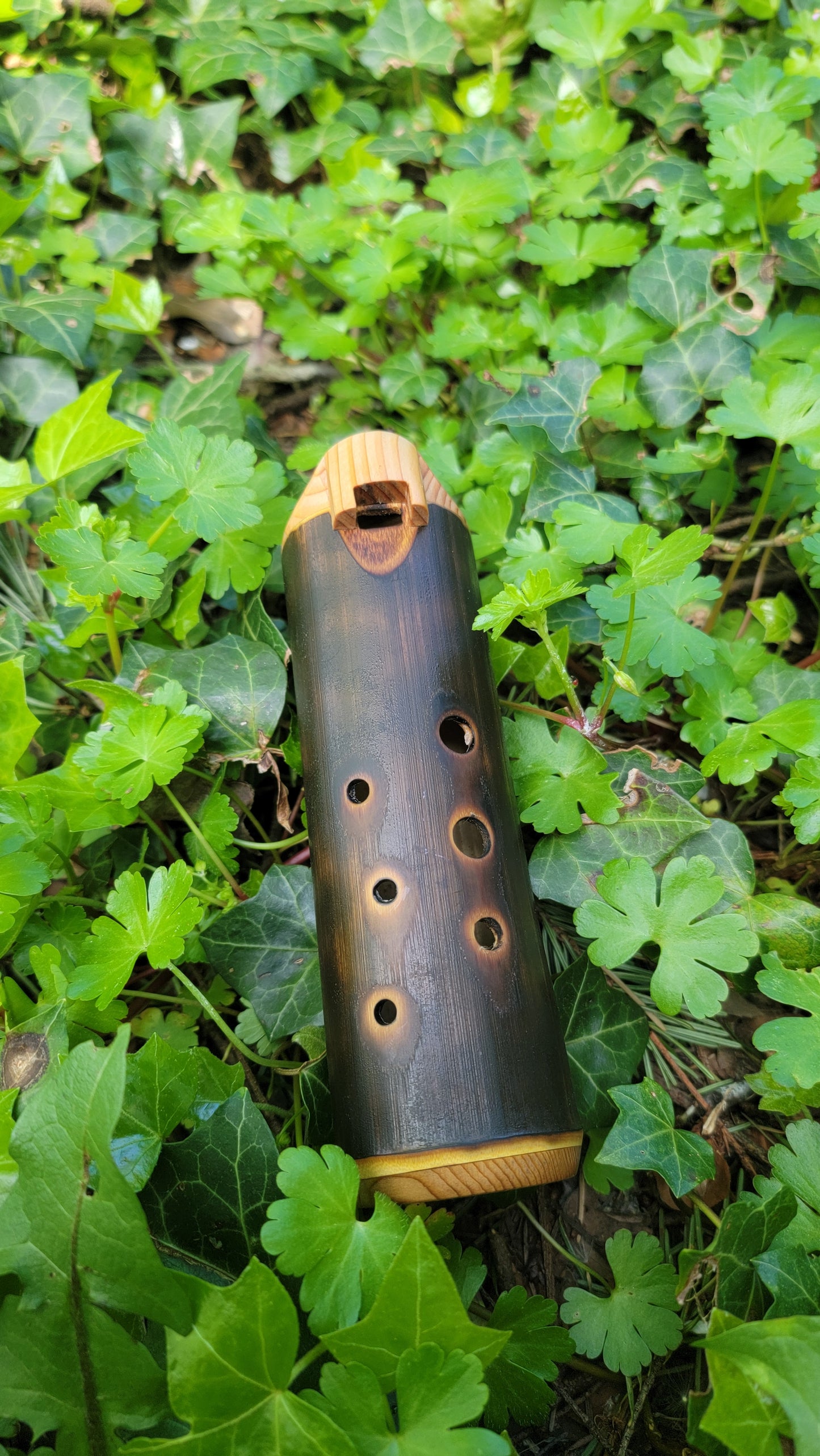D⁵ Minor Bamboo Ocarina