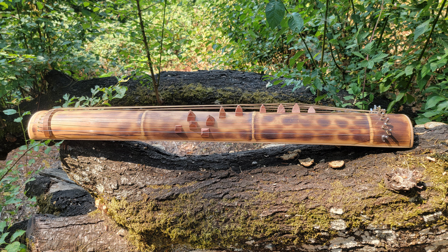 Bamboo Electro Koto