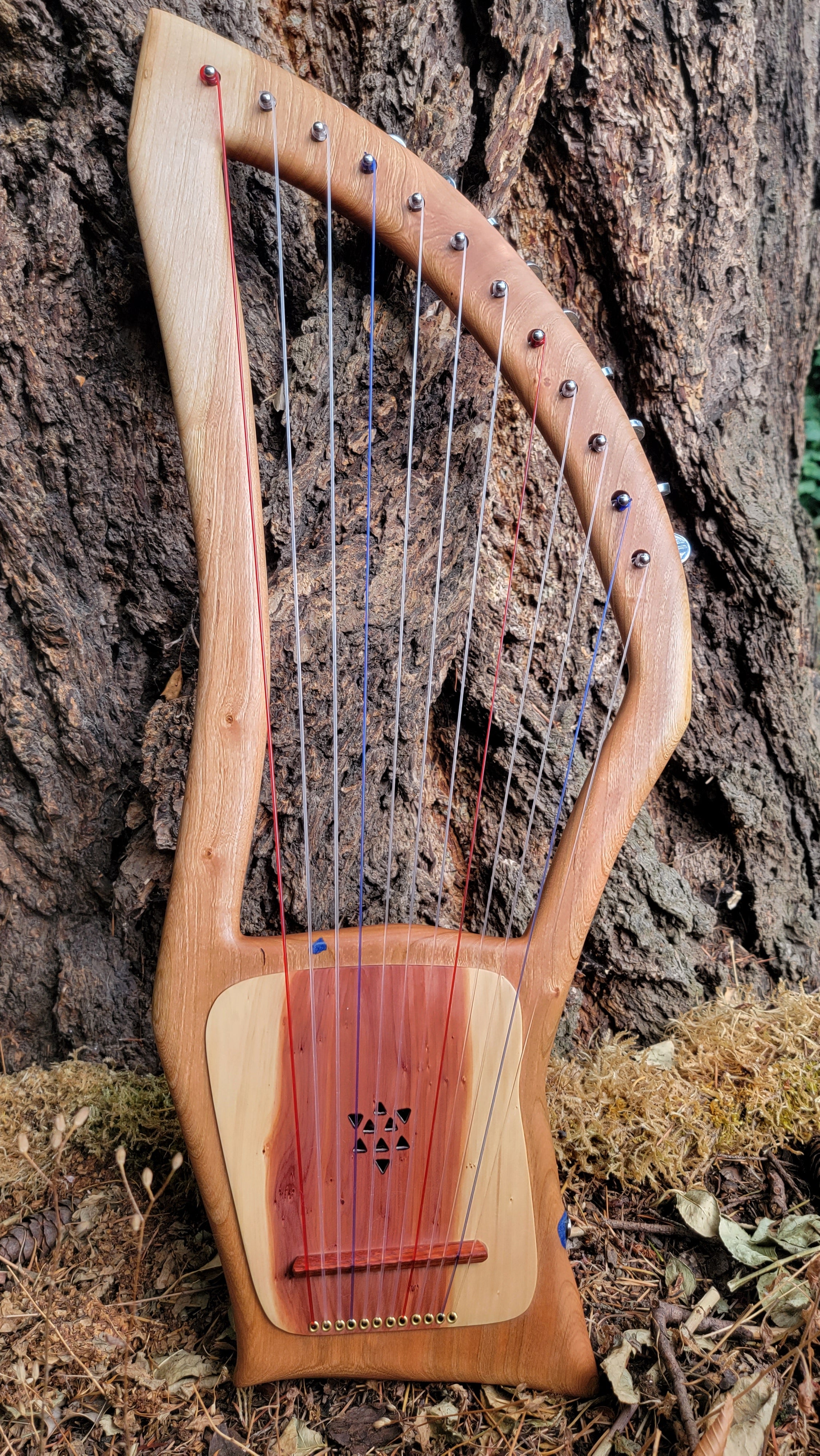 Electro String Instruments Electro Lyre Nylon Strings – Cascadia Instruments