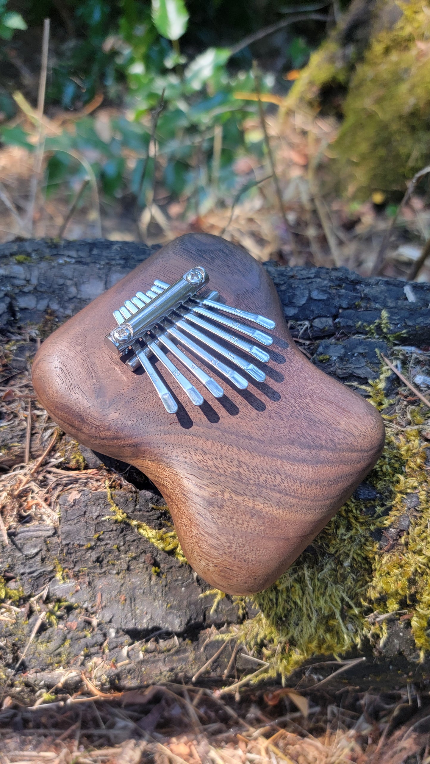 Pocket Kalimba Black Walnut A Minor