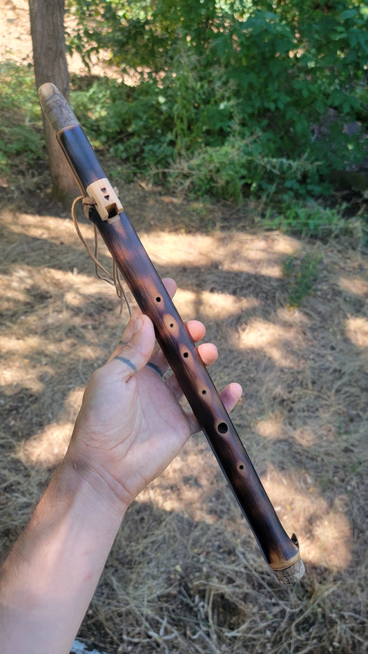 B hijaz bamboo