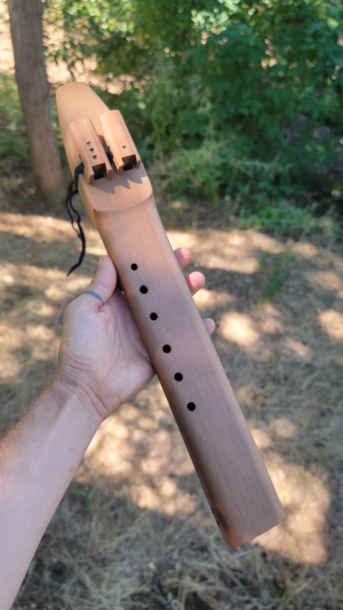 A Minor drone