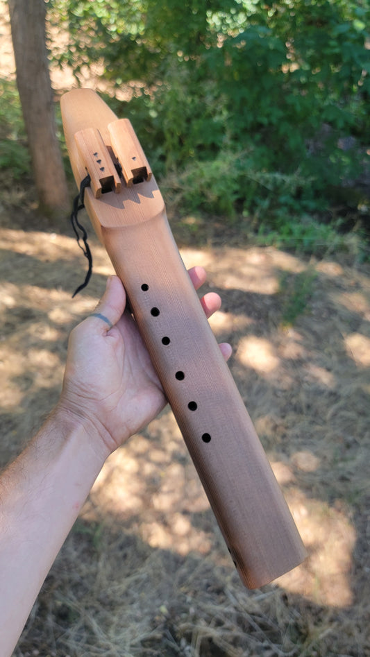 A Minor drone