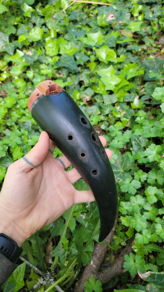 Cow Horn Ocarina E⁵ Minor